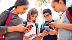 研修项目动态更新